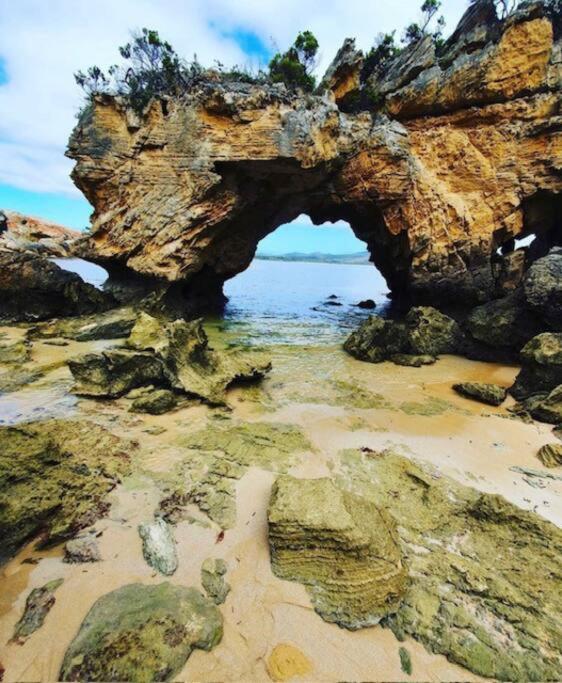 Faraway on Flinders Island