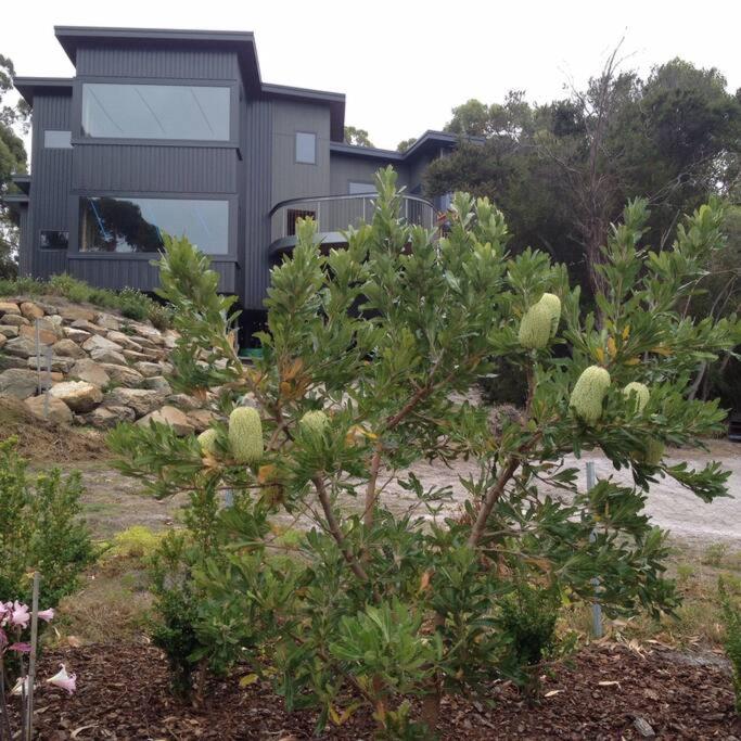 Faraway on Flinders Island