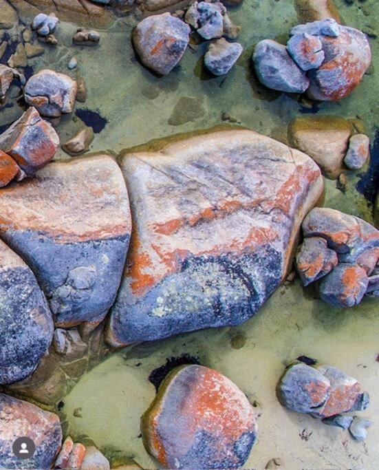 Faraway on Flinders Island