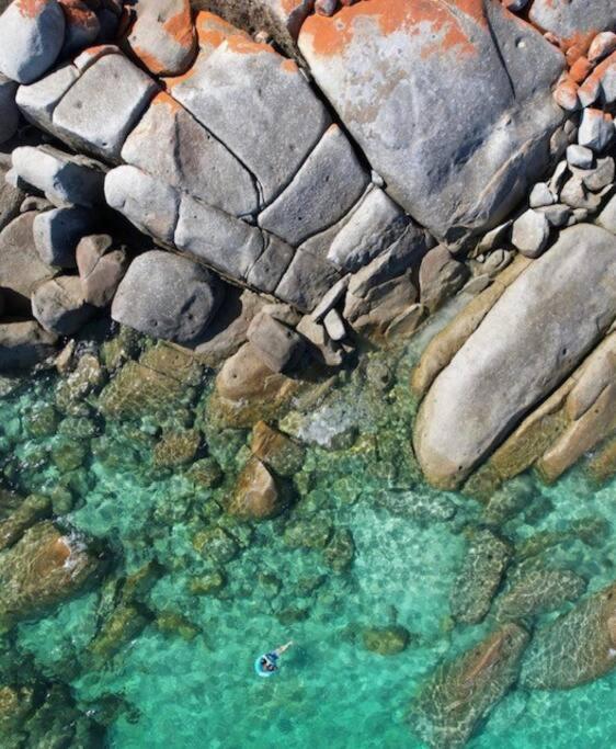Faraway on Flinders Island
