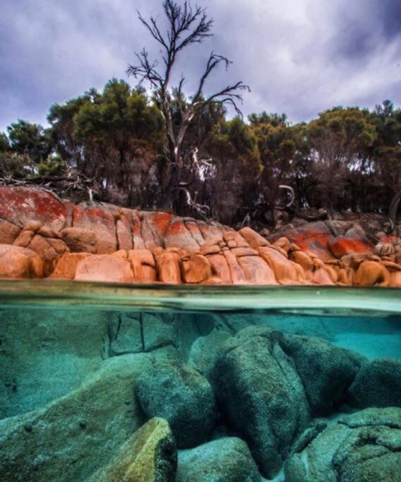 Faraway on Flinders Island