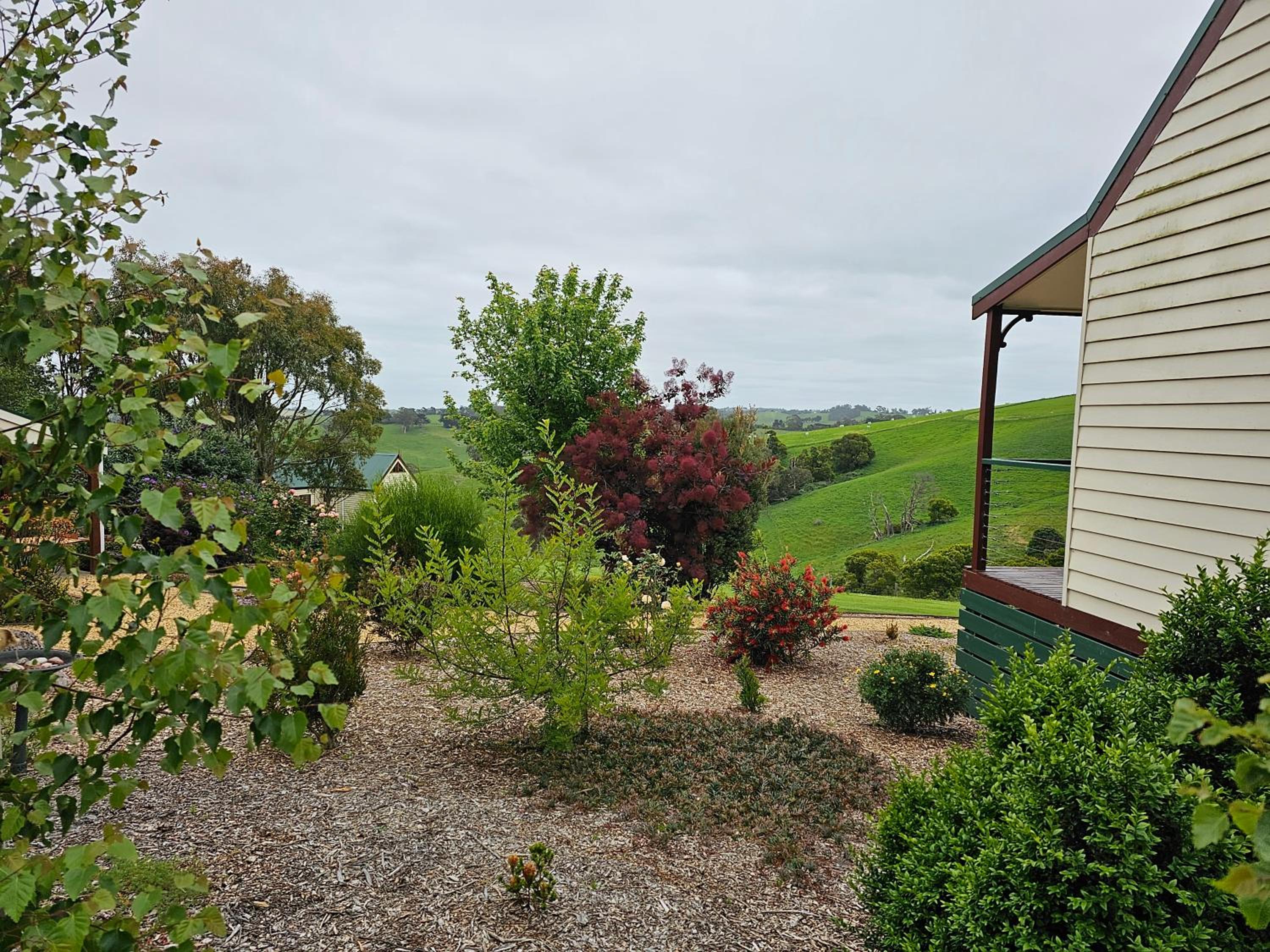 Maple Ridge Cottages