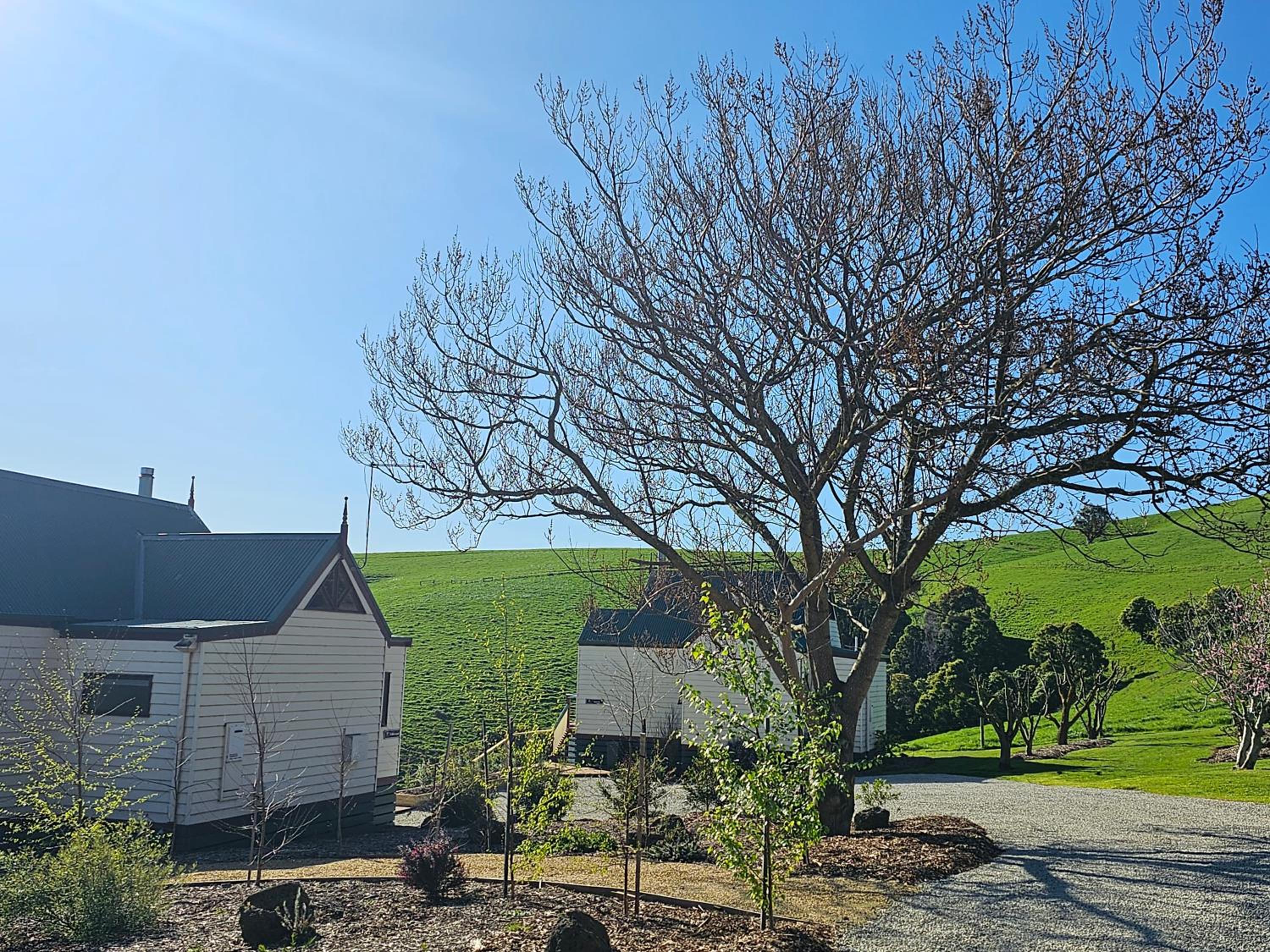 Maple Ridge Cottages