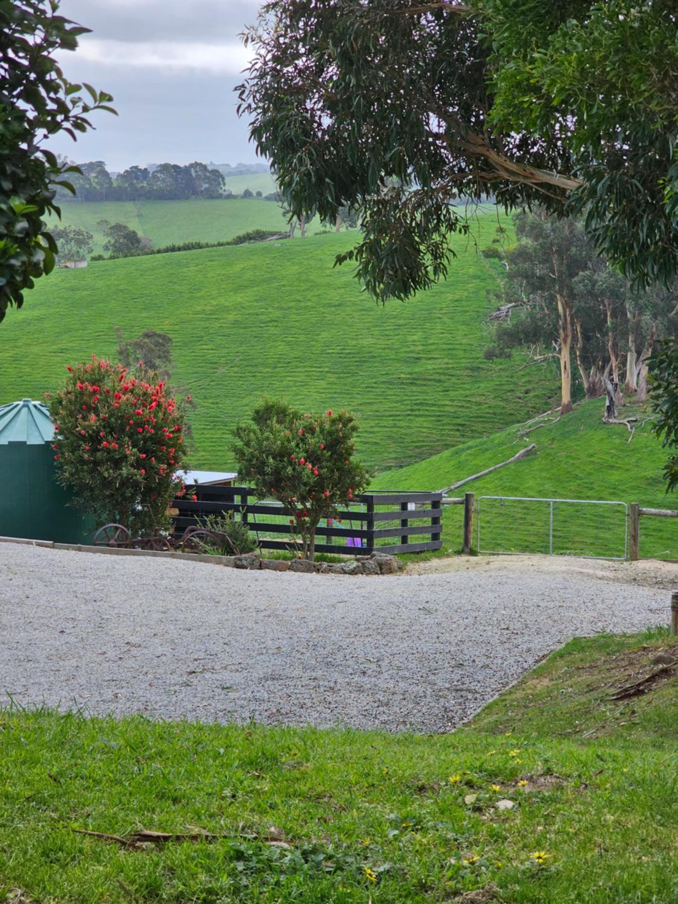 Maple Ridge Cottages