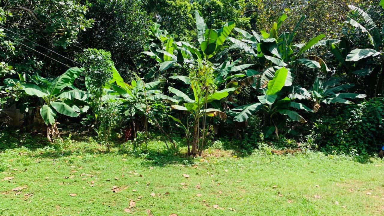 Sigiriya Chena Villa
