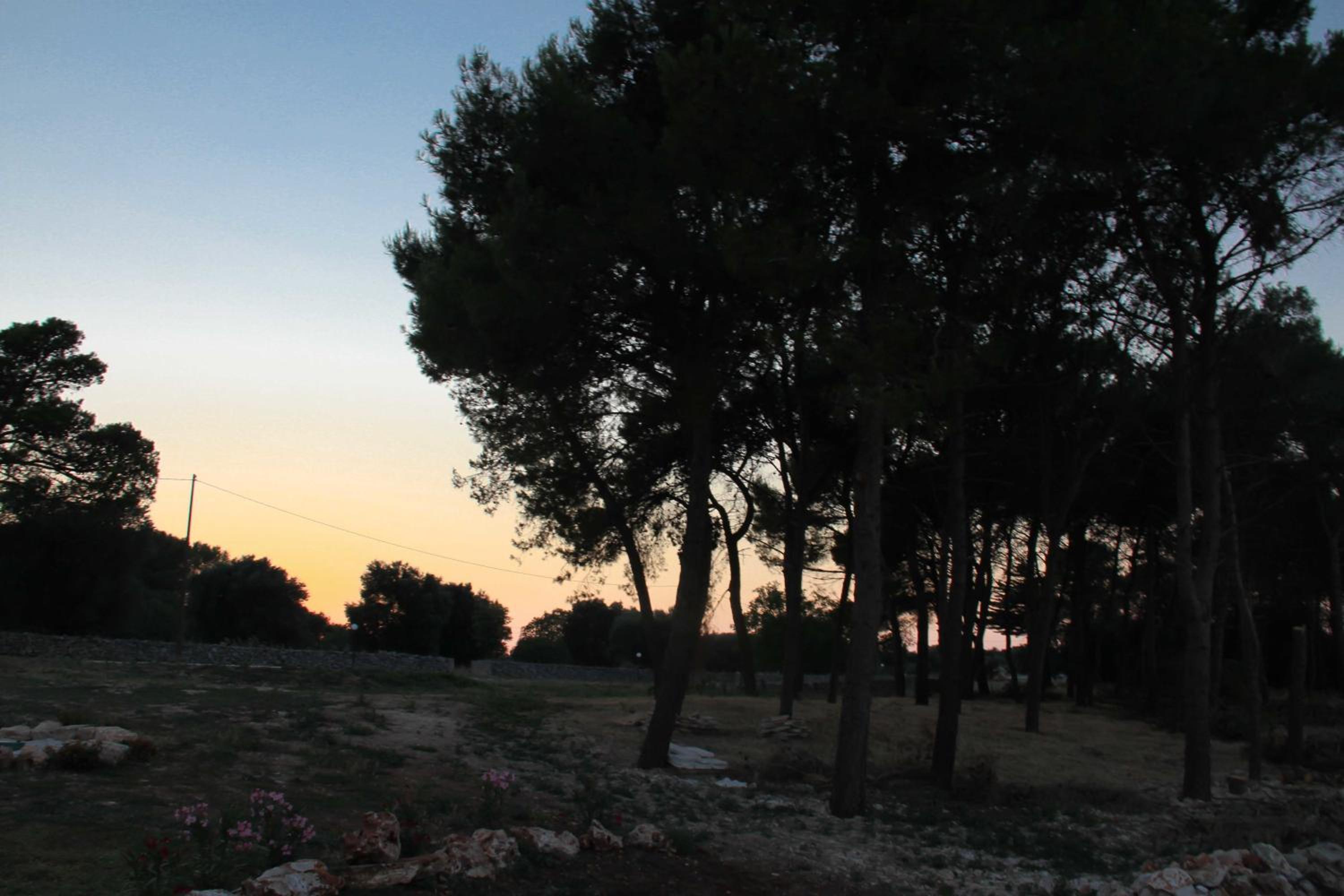 B&B Masseria Nuove Caselle