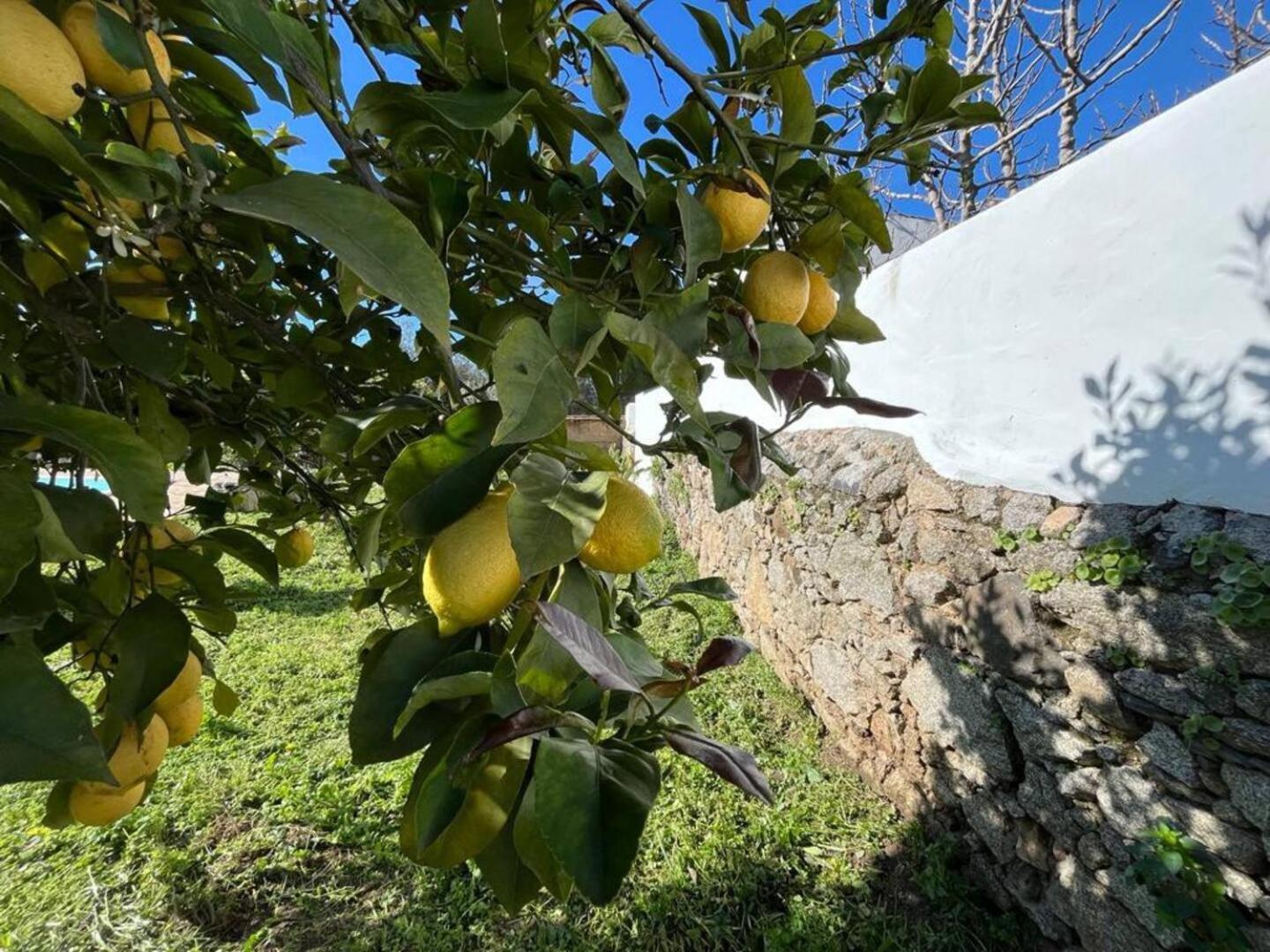 Casa Sofia