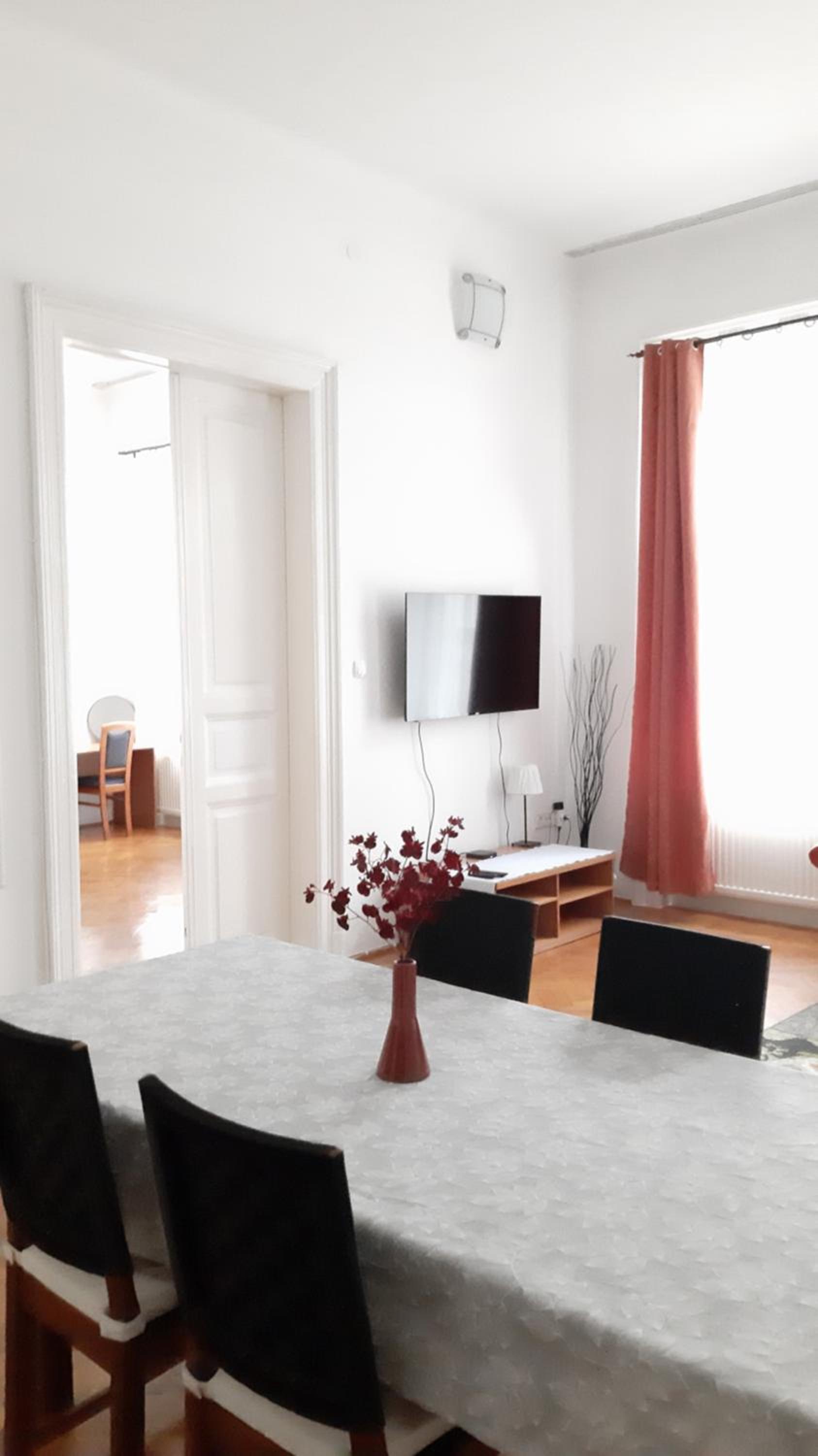 Citypark Classic Downtown Apartment view 4