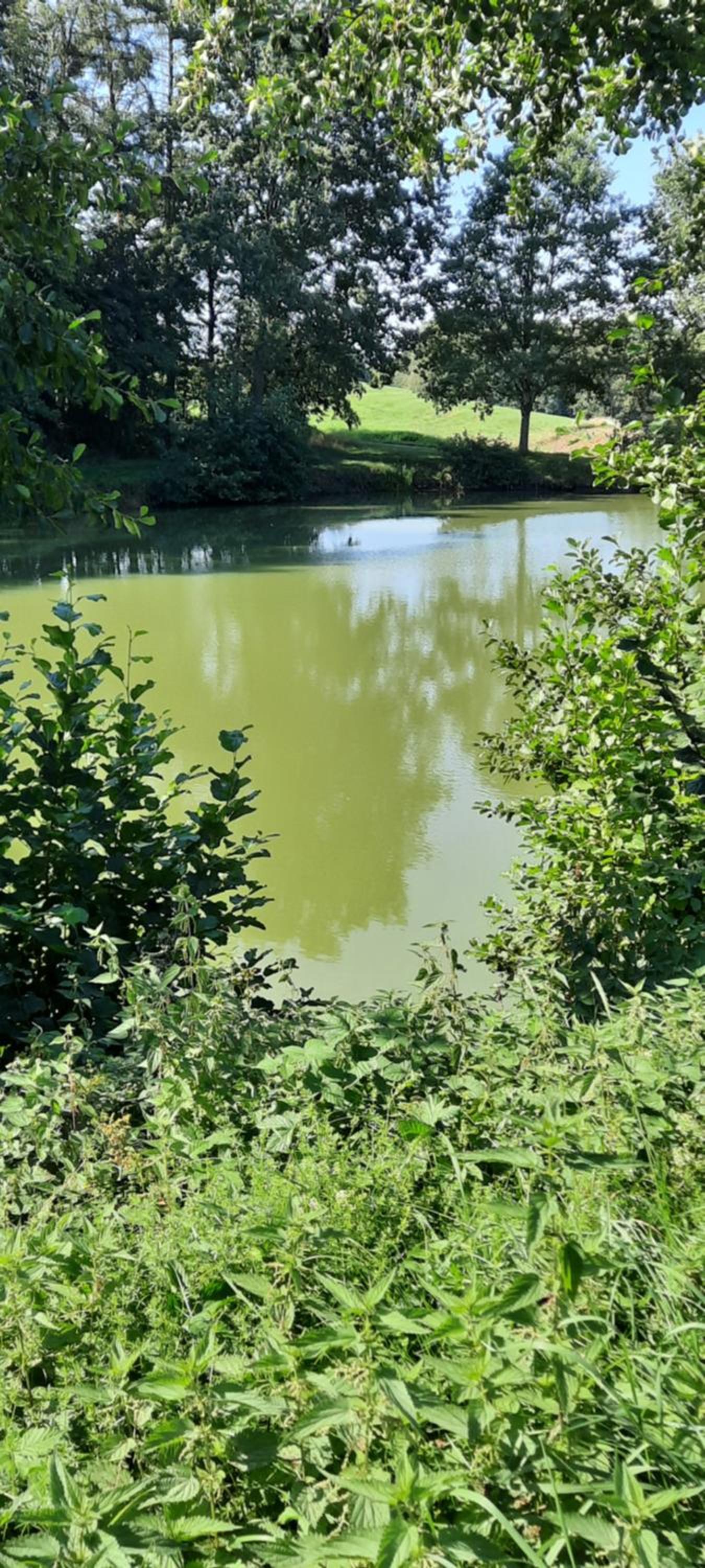FeWo Zieger - Urlaub in Franken