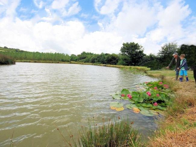 Fentrigan Manor Farm & Holiday Cottages