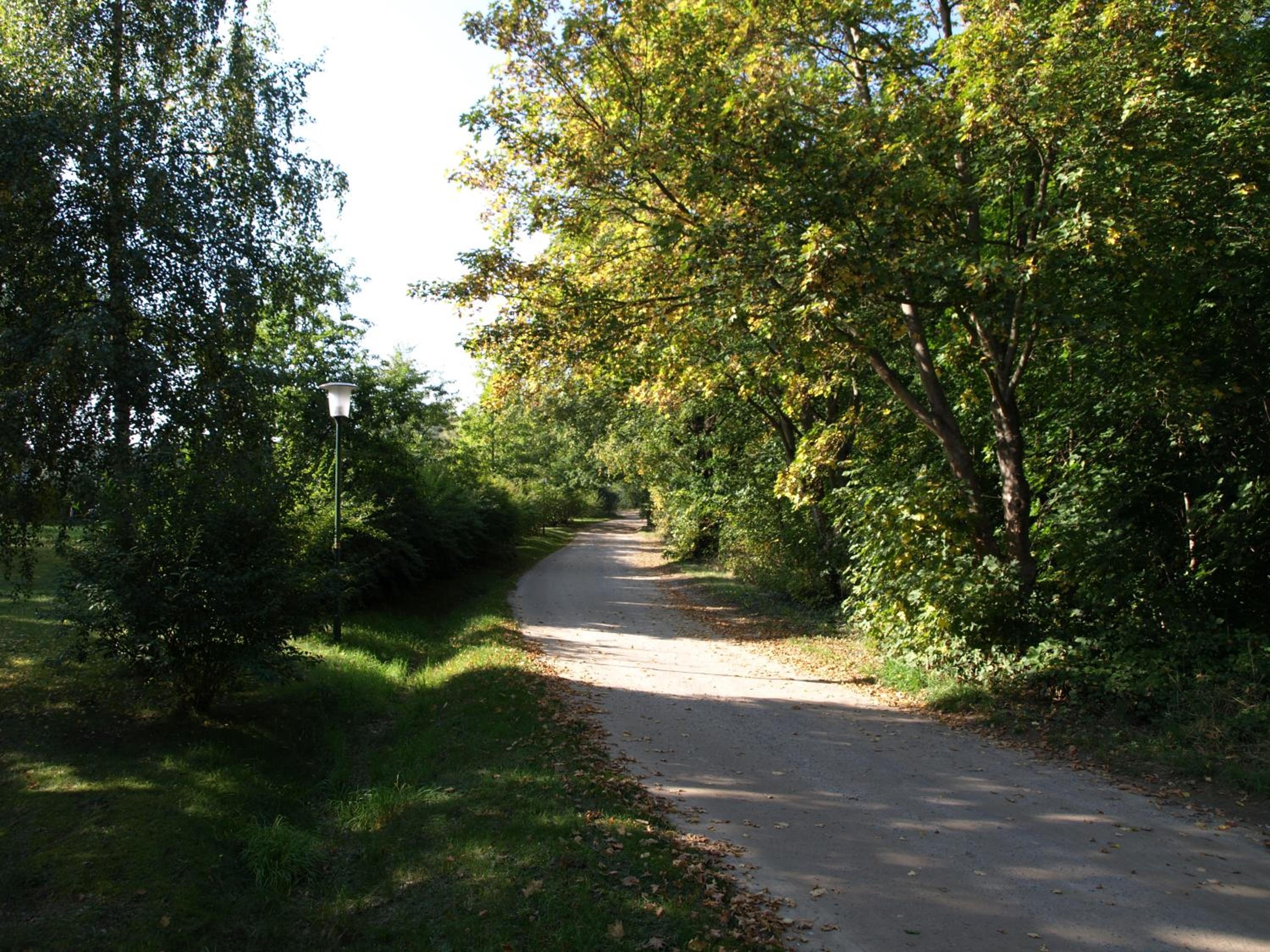 Ferienhaus am Klosterwald
