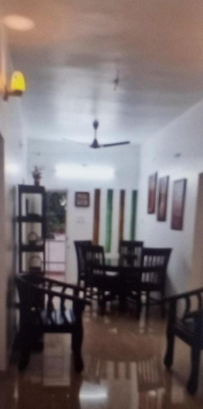 Euphoria Homestay