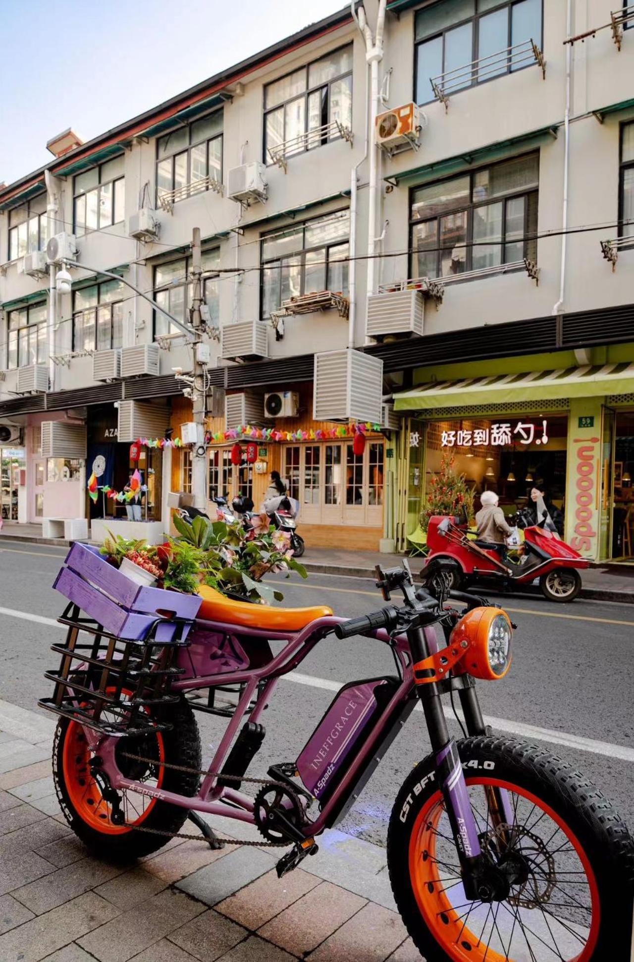 Shanghai Downtown Blossom B&B- Yongkang Road
