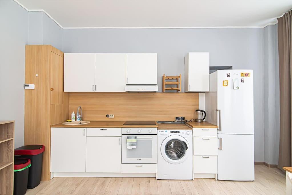 Spacious Apartment with Great Location/URBAN RENT view 4