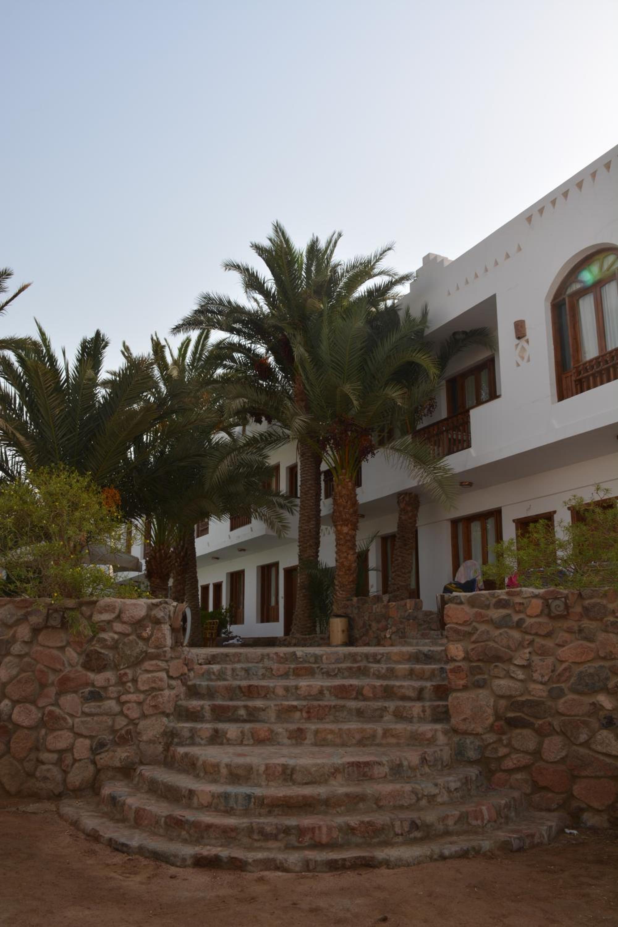 Dahab Divers