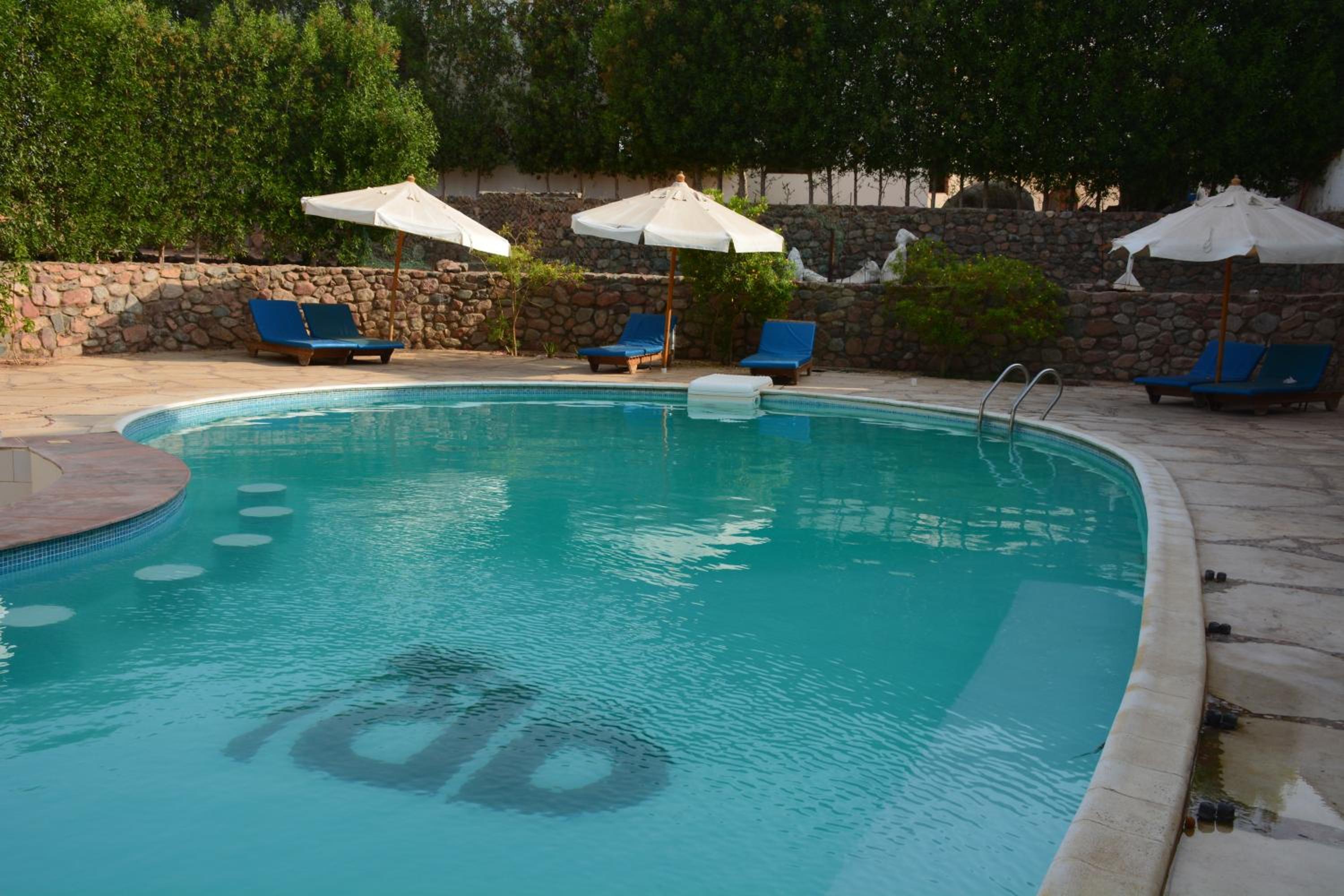 Dahab Divers