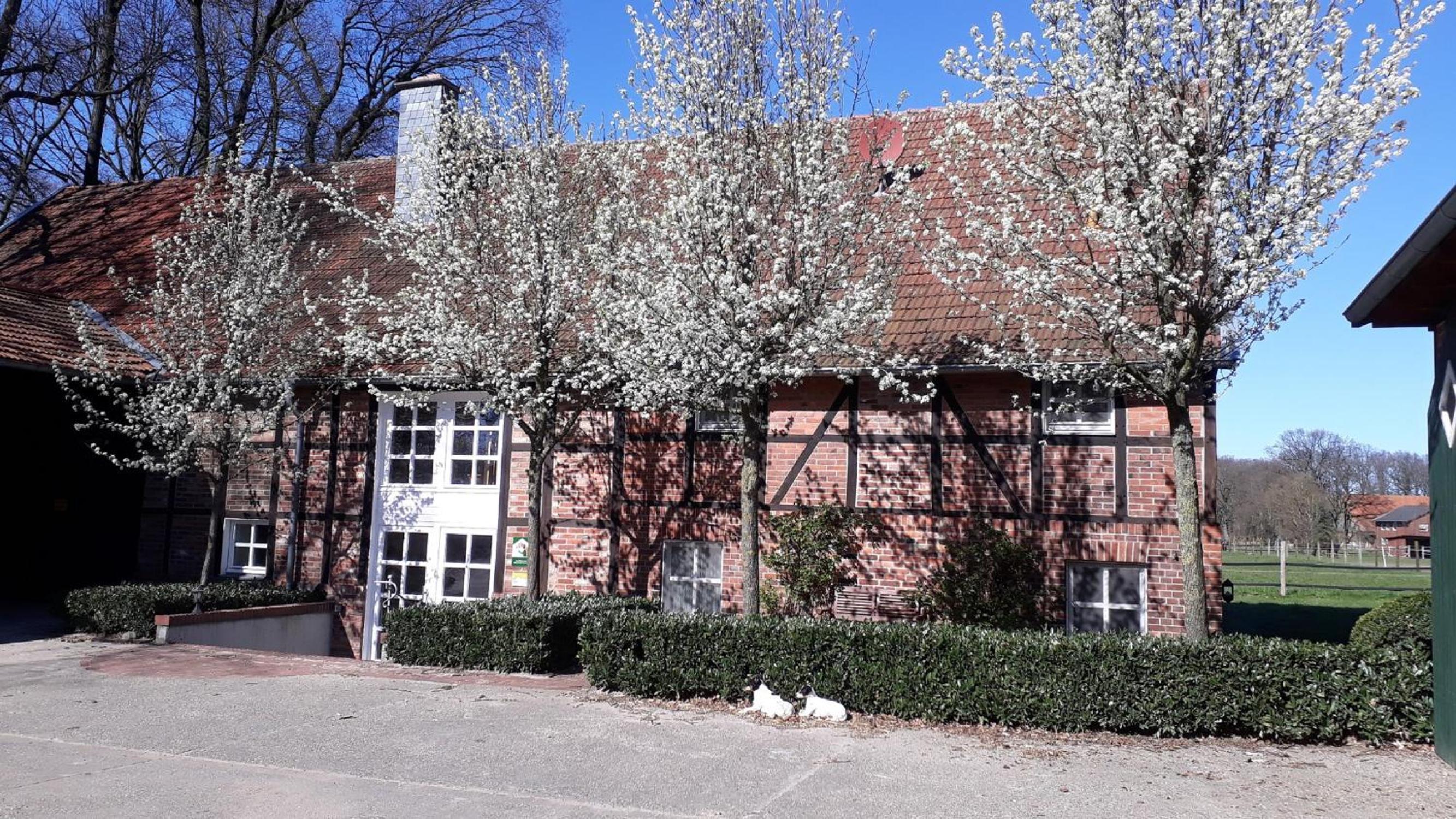 Landhaus am Esch
