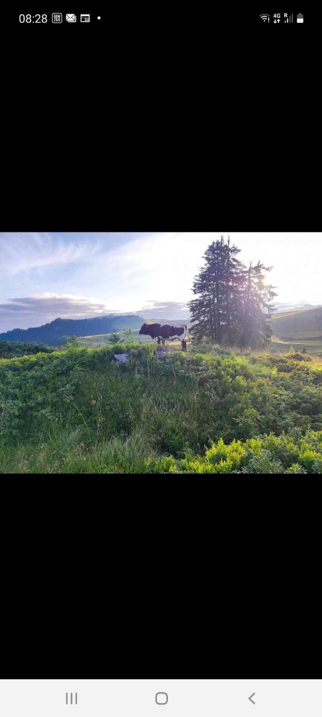Almhütte Bairau Kaser