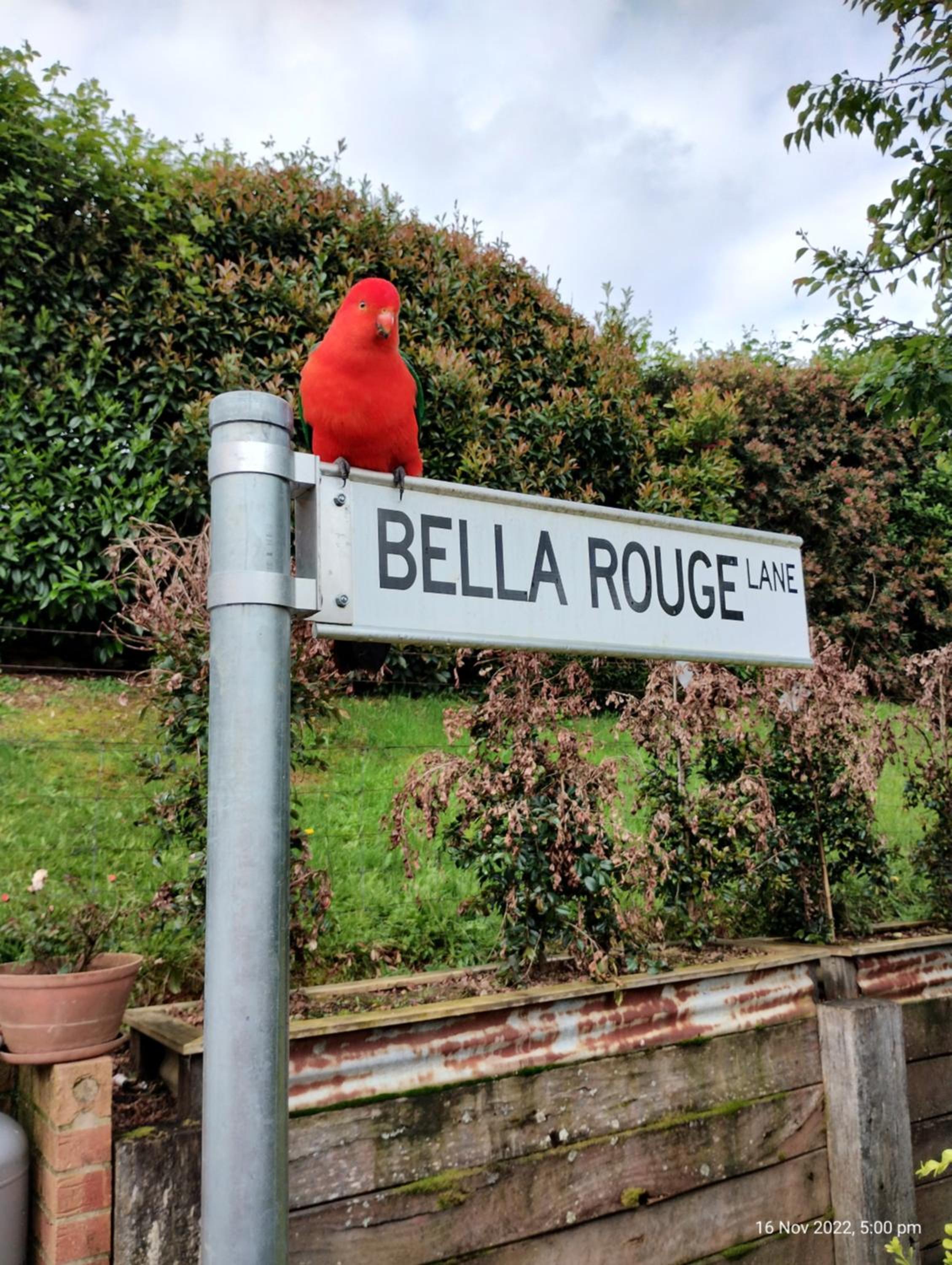 Bella Rouge Cottage