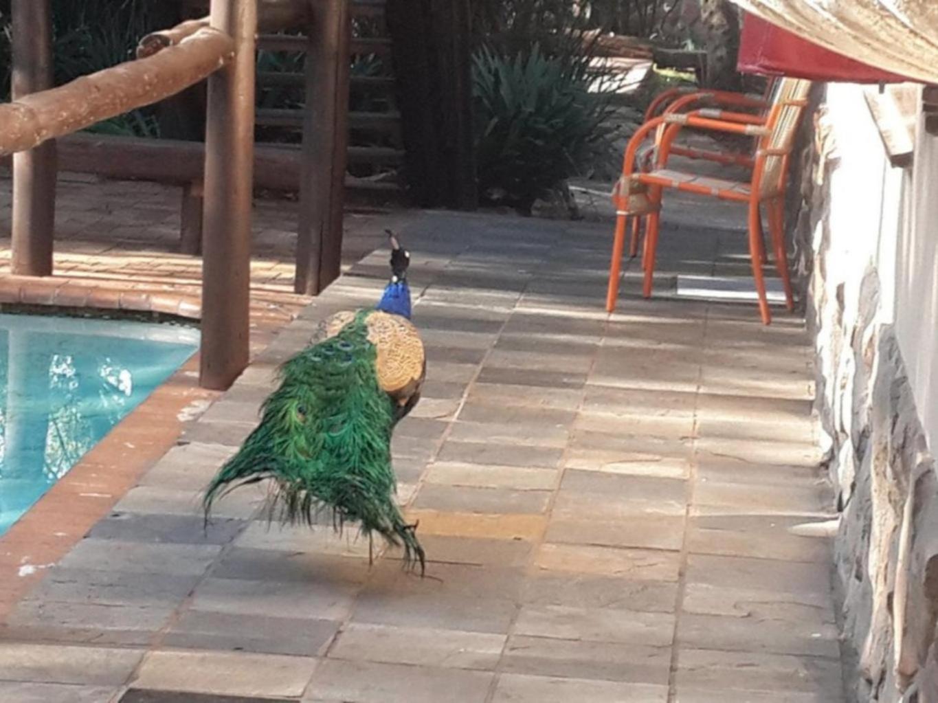 Lapalosa Lodge