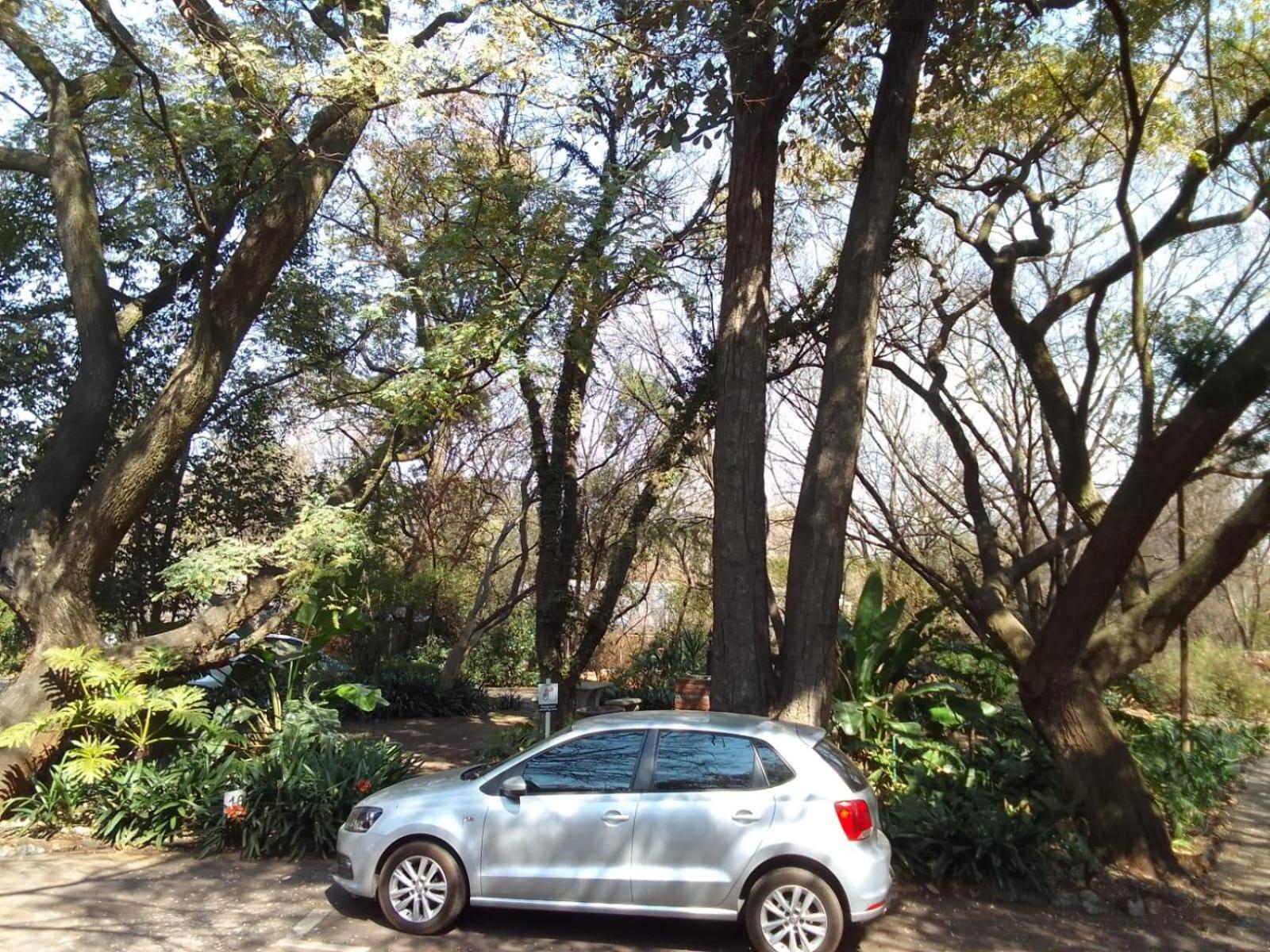 Lapalosa Lodge