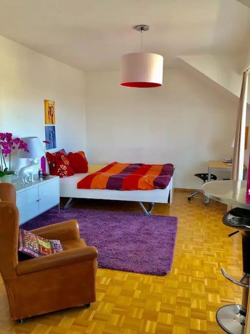 Ganze Wohnung und Balkon,schöne Aussicht,Küche,Bad,Wifi