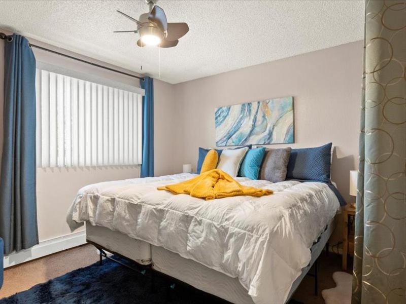 Lovely 3-bedroom rental unit with free parking! view 4