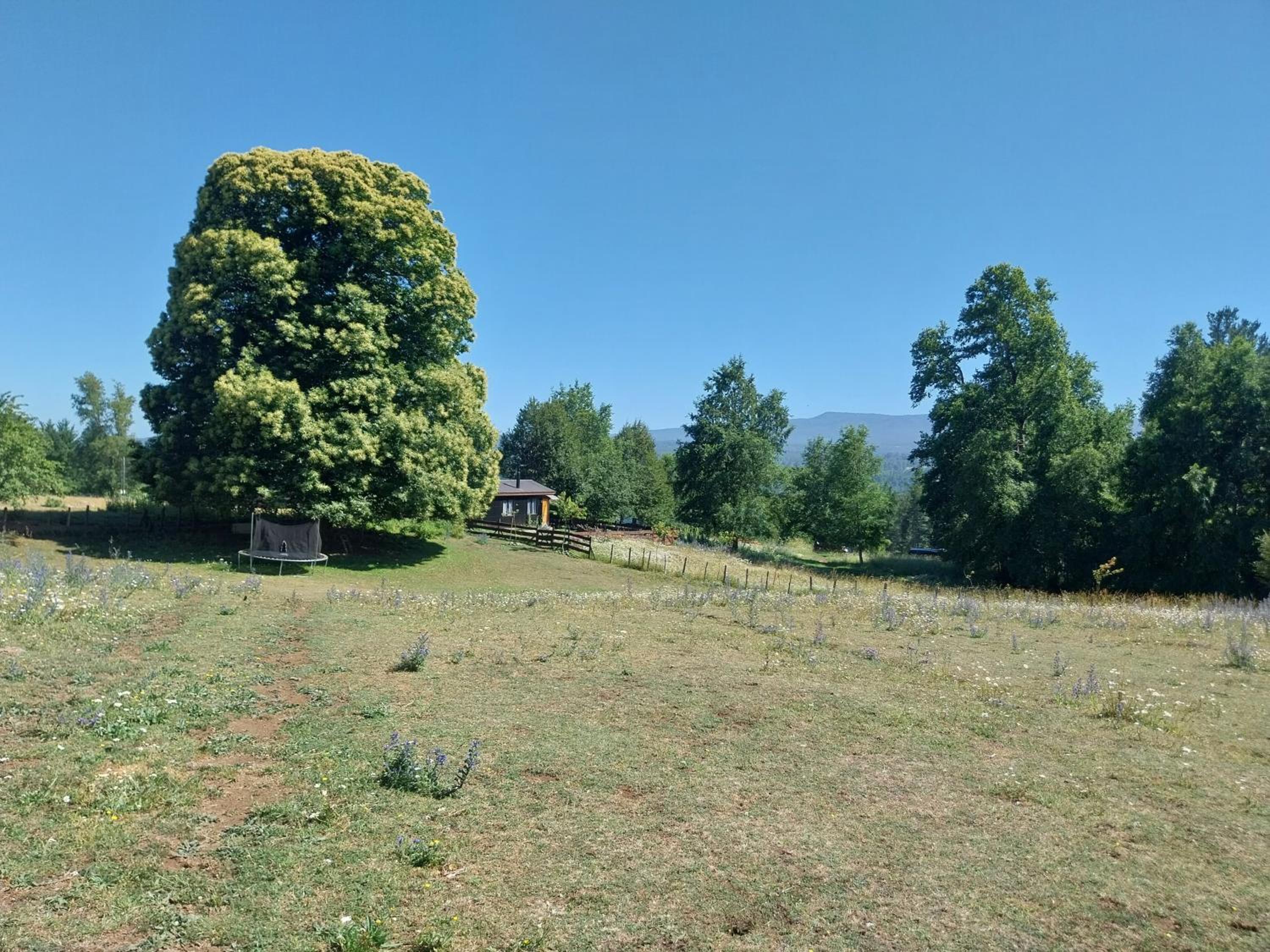 Cabaña entre el Conguillio y Corralco