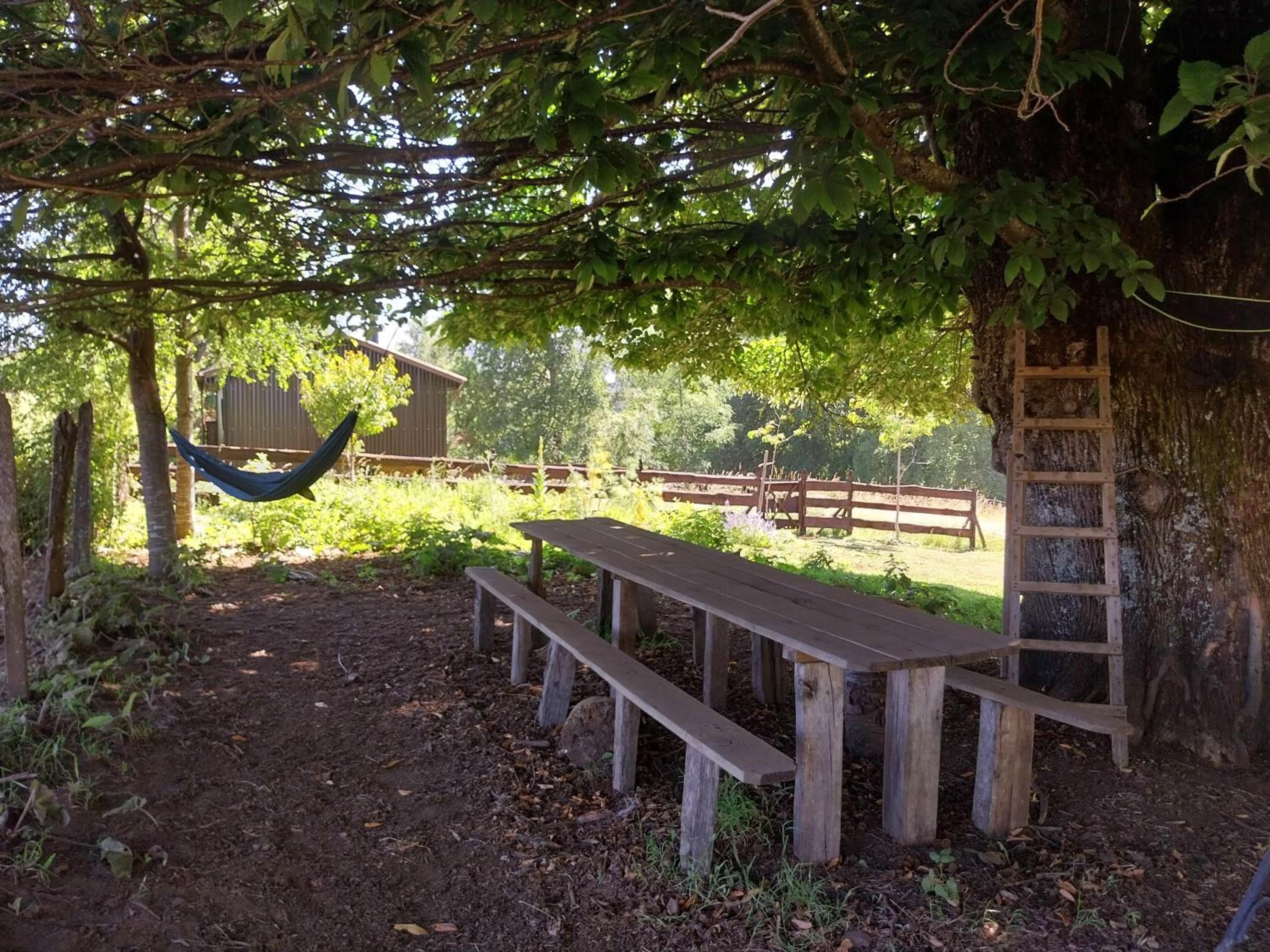 Cabaña entre el Conguillio y Corralco