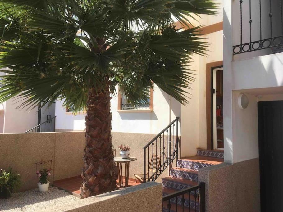 Lovely bungalow with two big terrasses