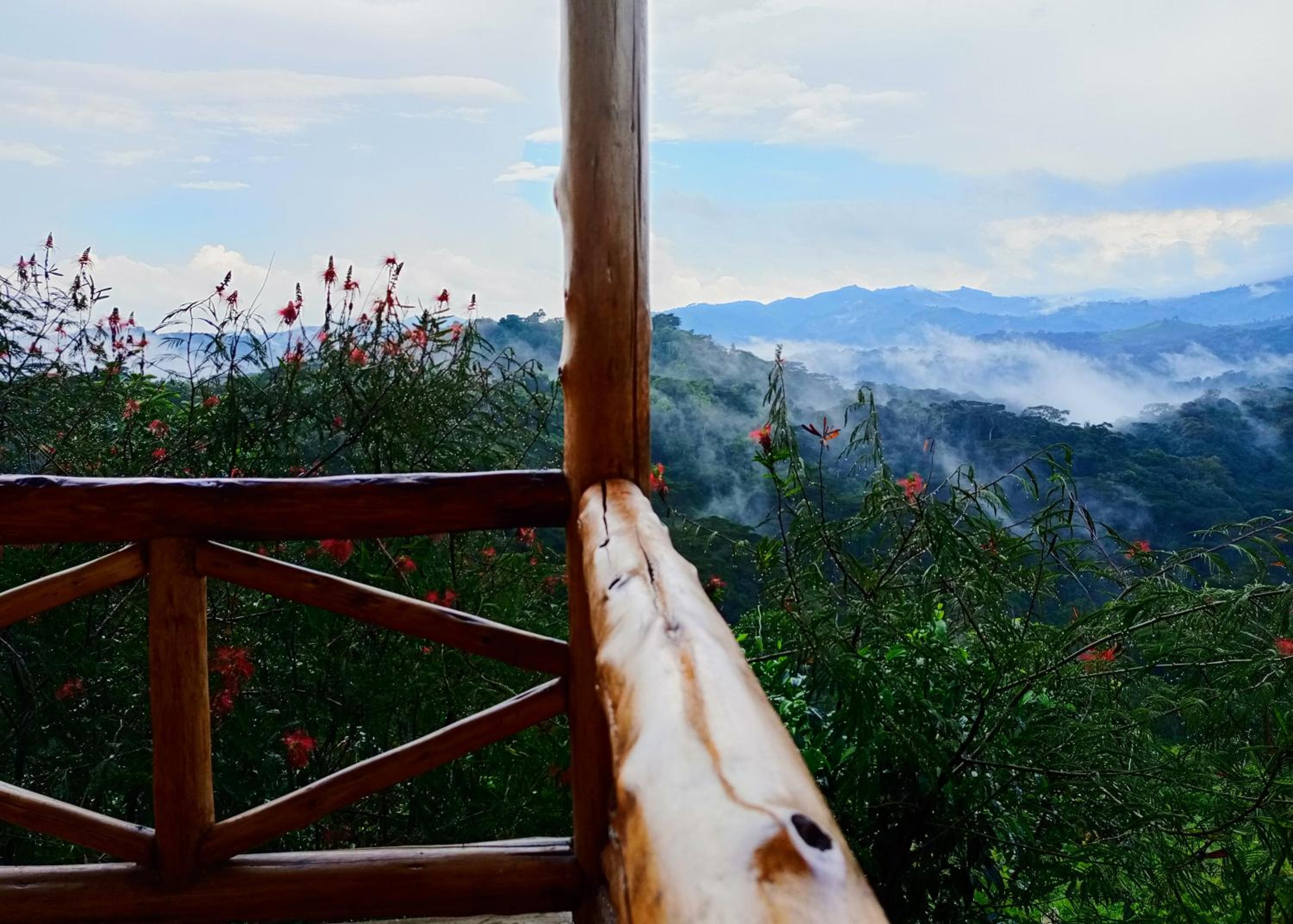 Bwindi Neckview Lodge