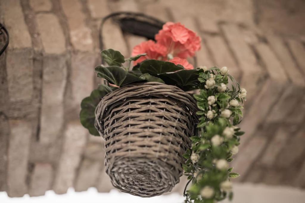 Shabby apartment @Trastevere