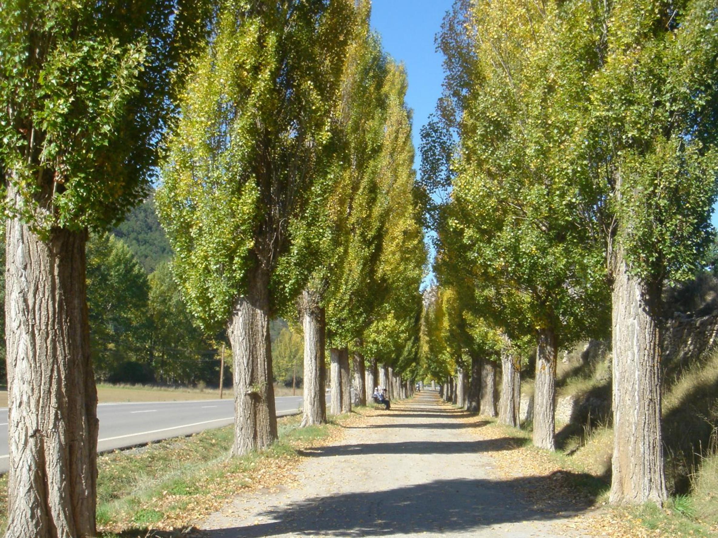Photo 45