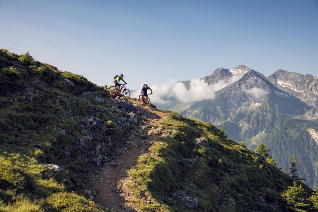 Denggnhof