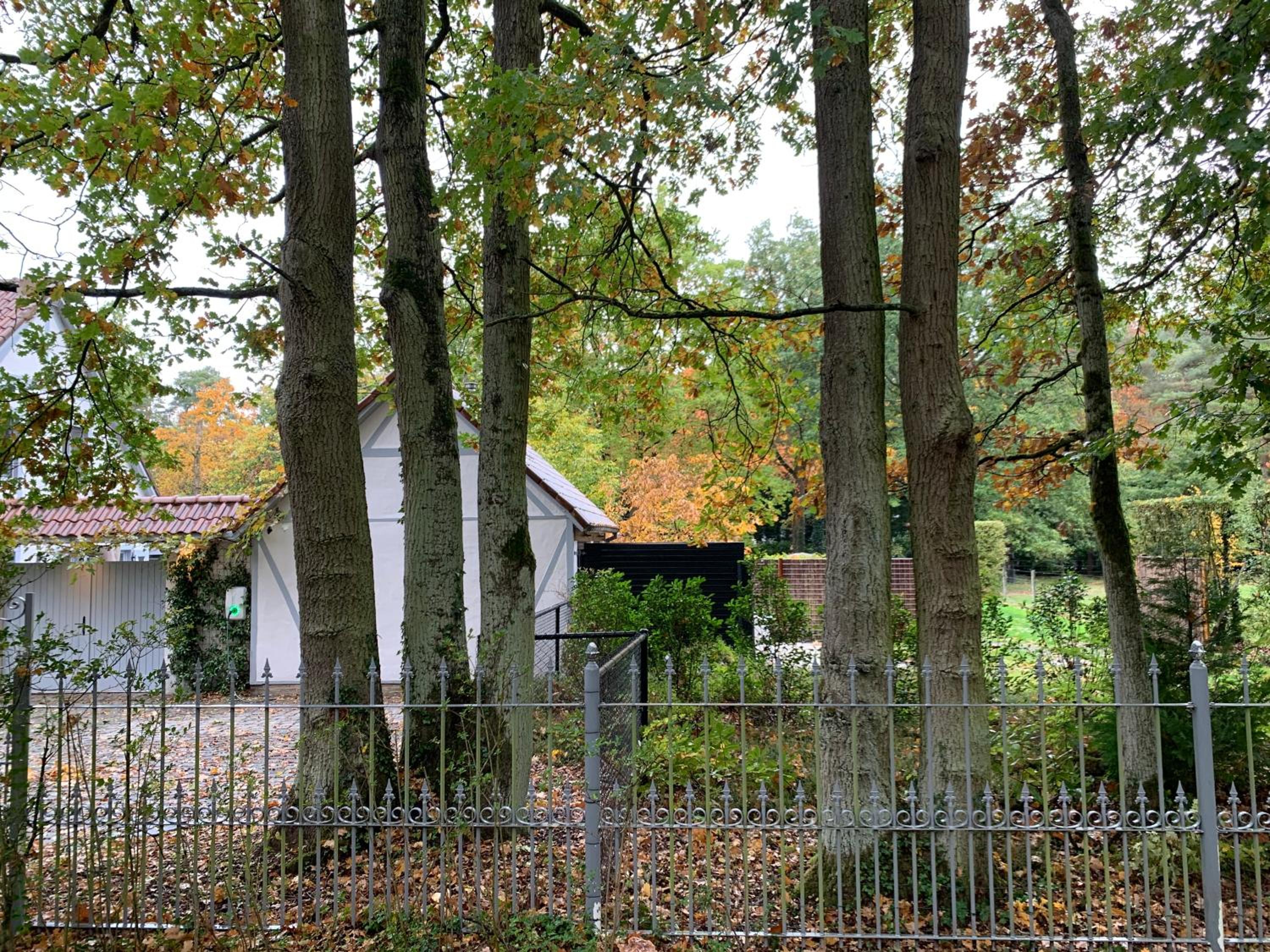 Bokrijklodge