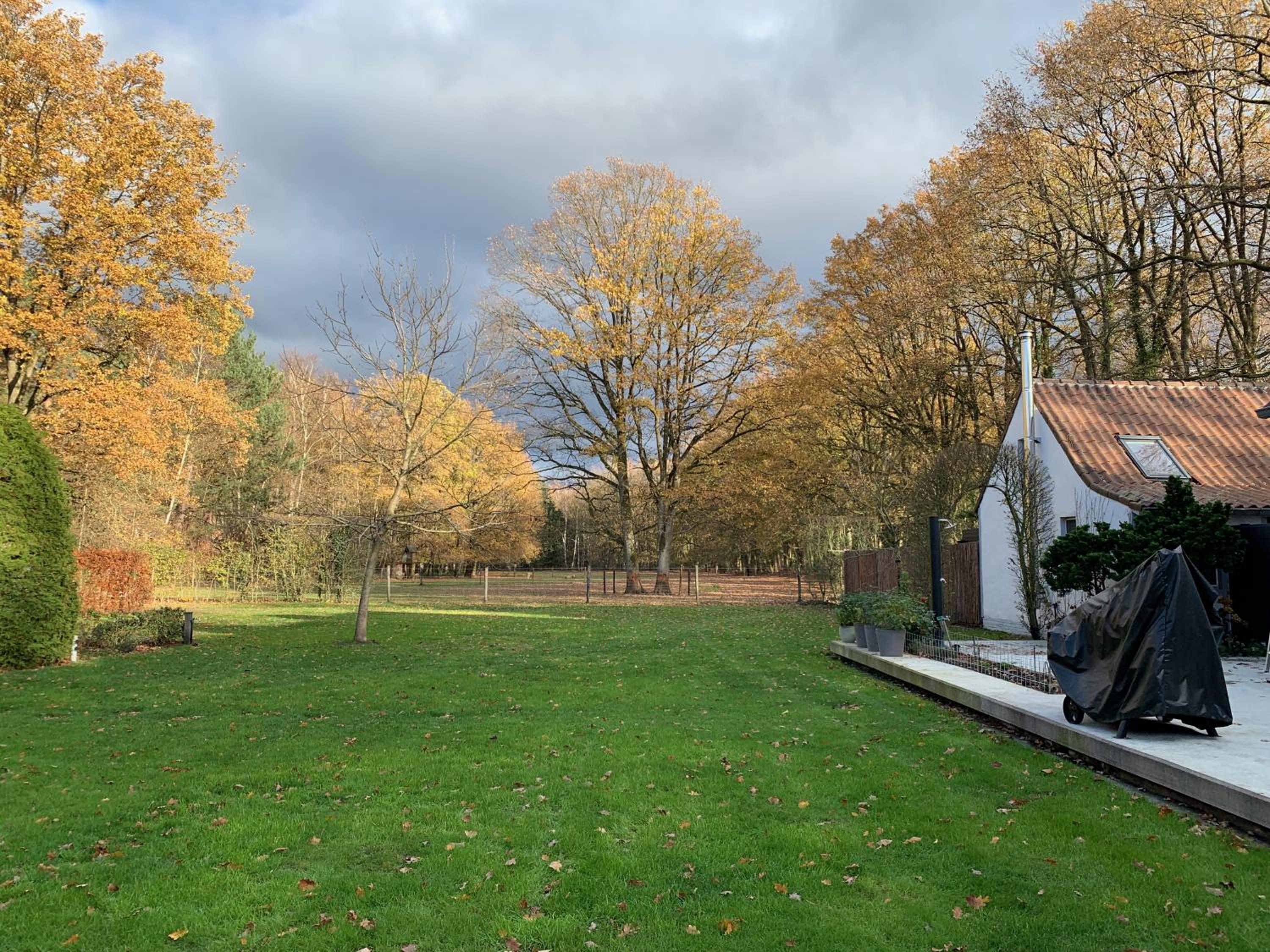 Bokrijklodge