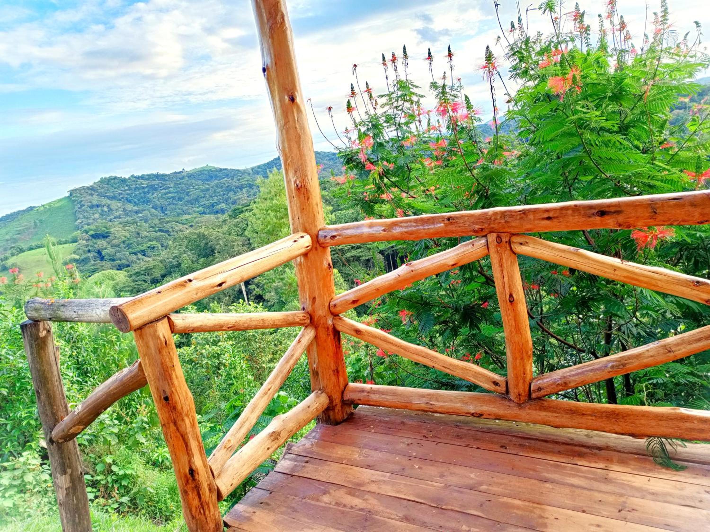 Bwindi Neckview Lodge