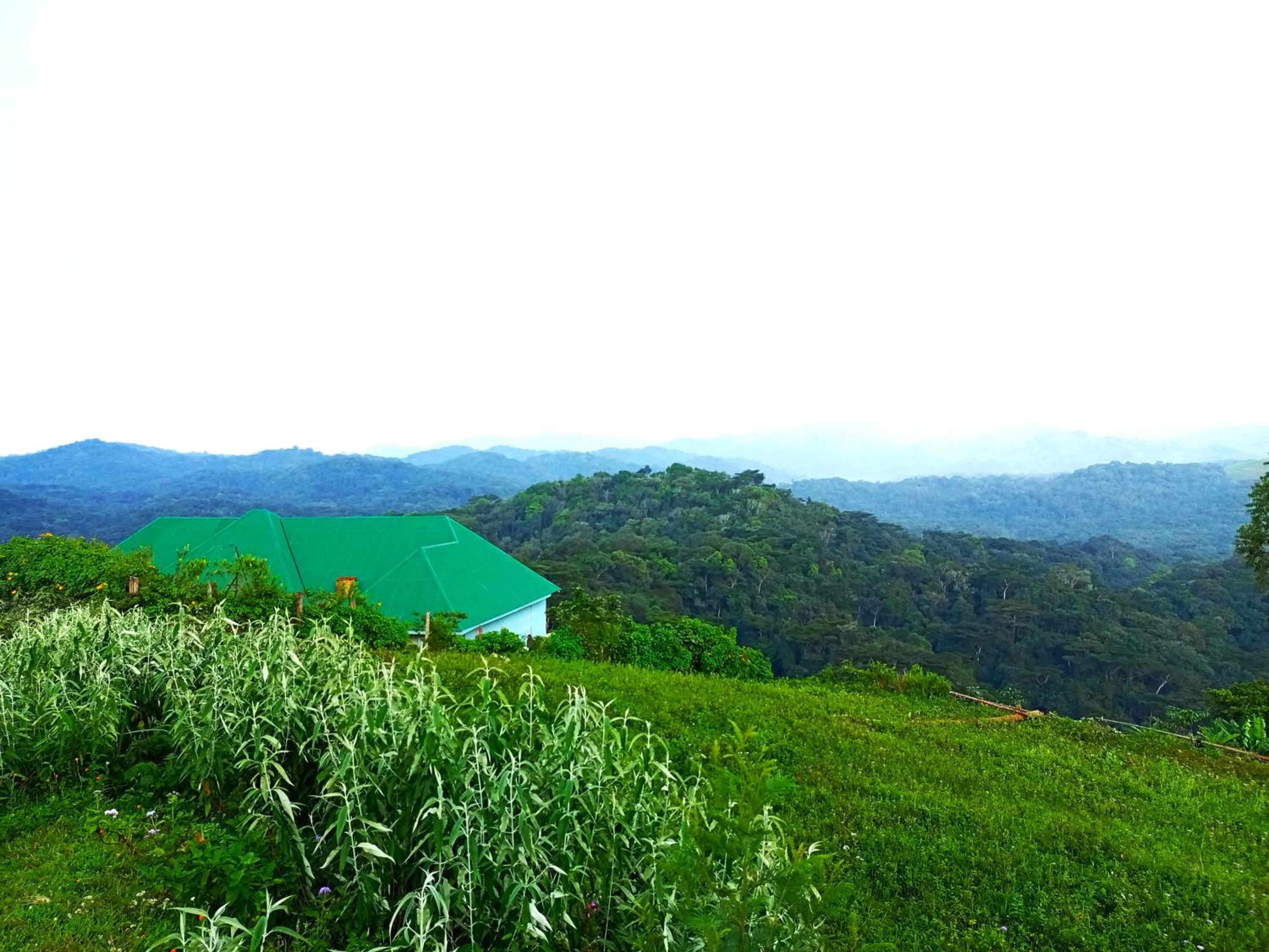 Bwindi Neckview Lodge