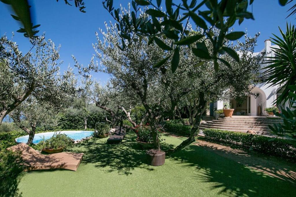 Luxury Villa Zaffiro - Pool, Garden and Sea View view 2