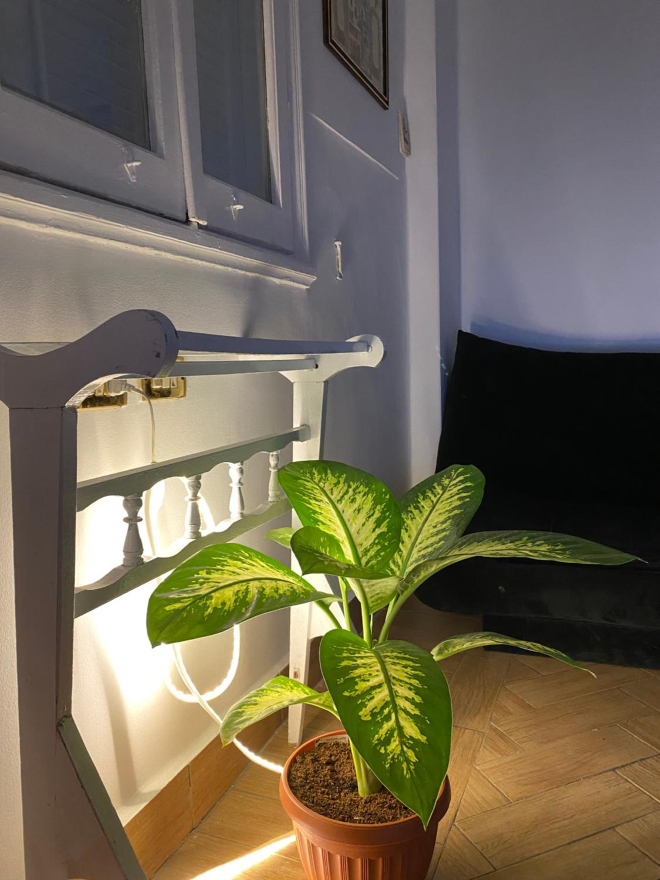 Unique room near the airport