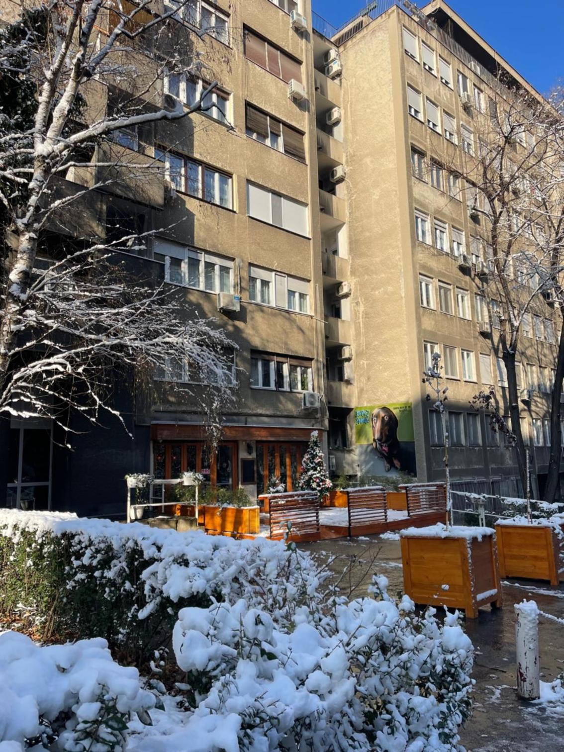 Photo 19