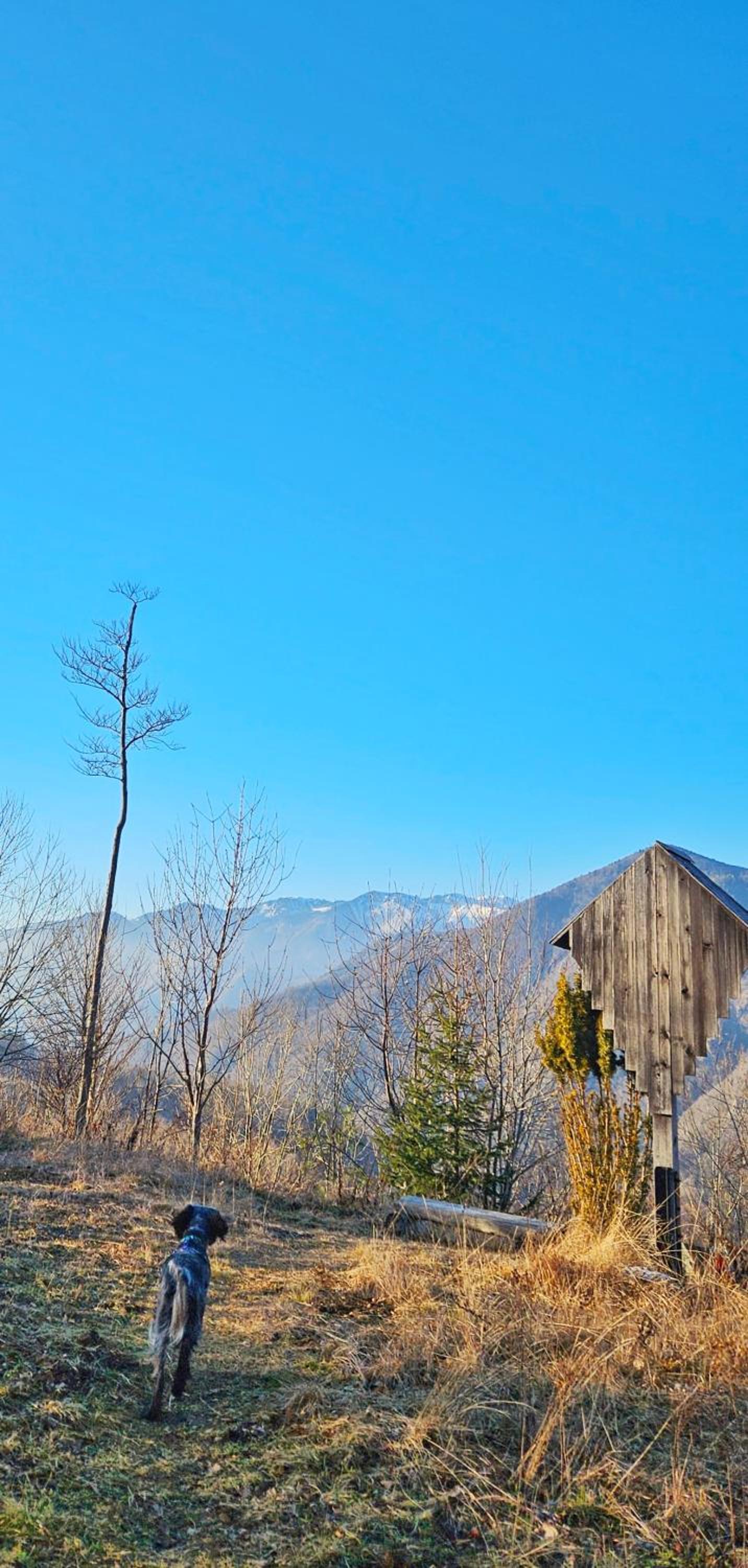 Ica - hišica v hribih view 3
