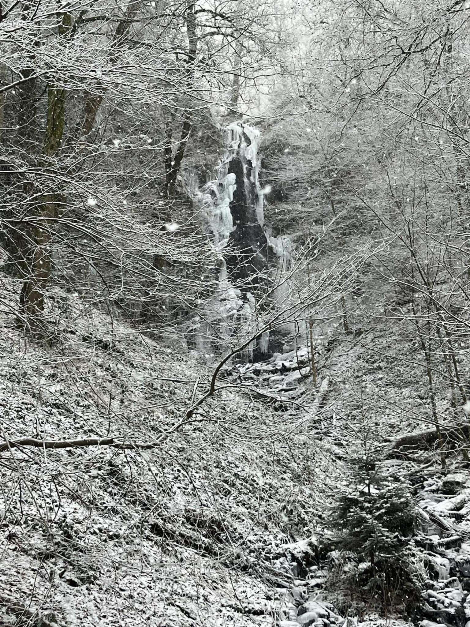 Ferienwohnung Vierländereck nahe Winterberg