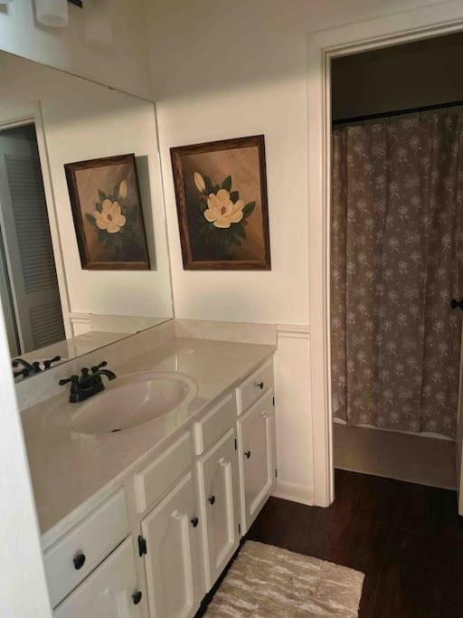 Texarkana Luxury 4BR Home on Bringle Lake Trail view 4