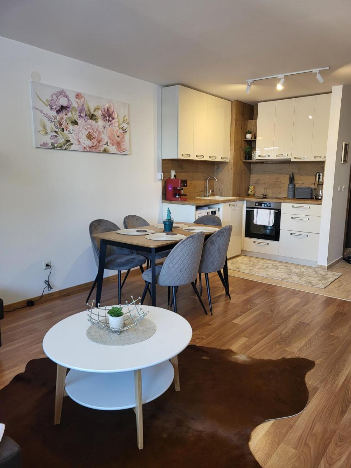 Bansko Vacations - Beautiful apartments in Bansko - Property Image 71