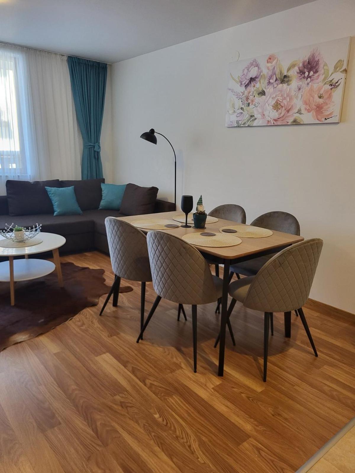 Bansko Vacations - Beautiful apartments in Bansko - Property Image 60