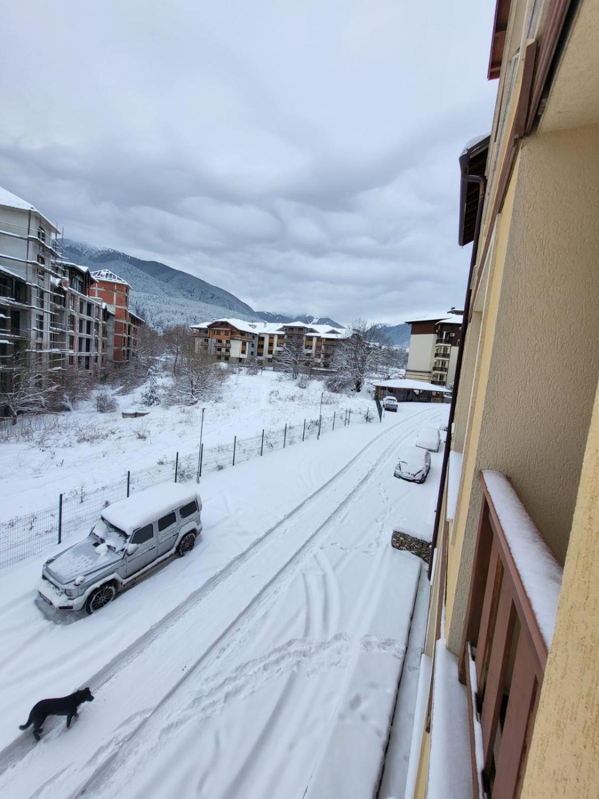 Bansko Vacations - Beautiful apartments in Bansko - Property Image 52