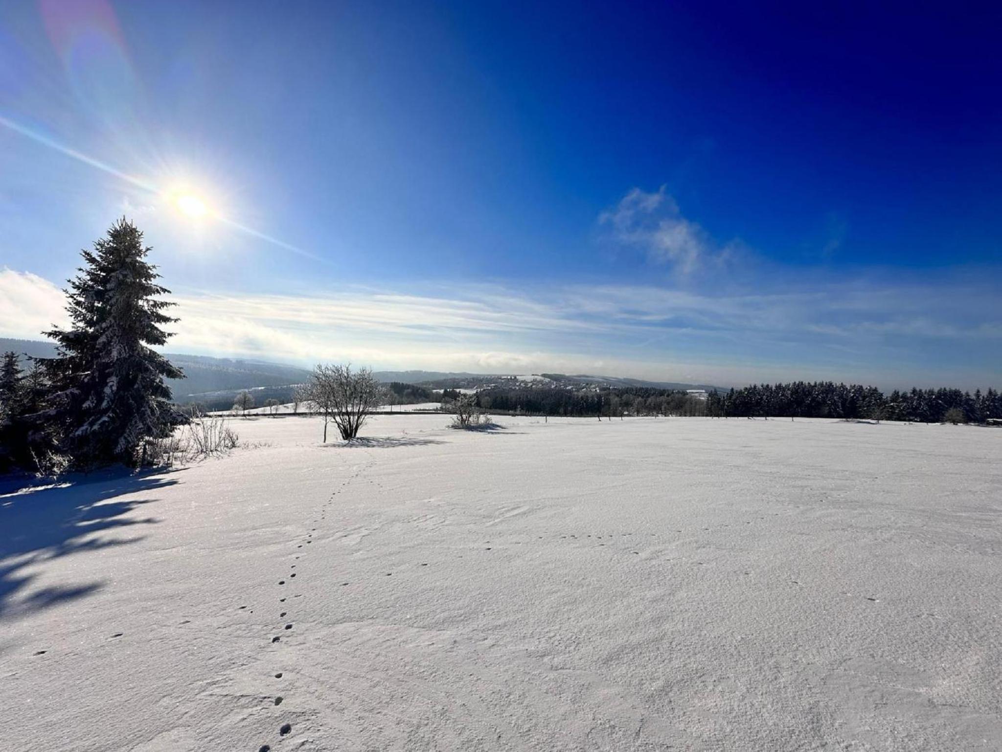 PanoramaChalet Winterberg