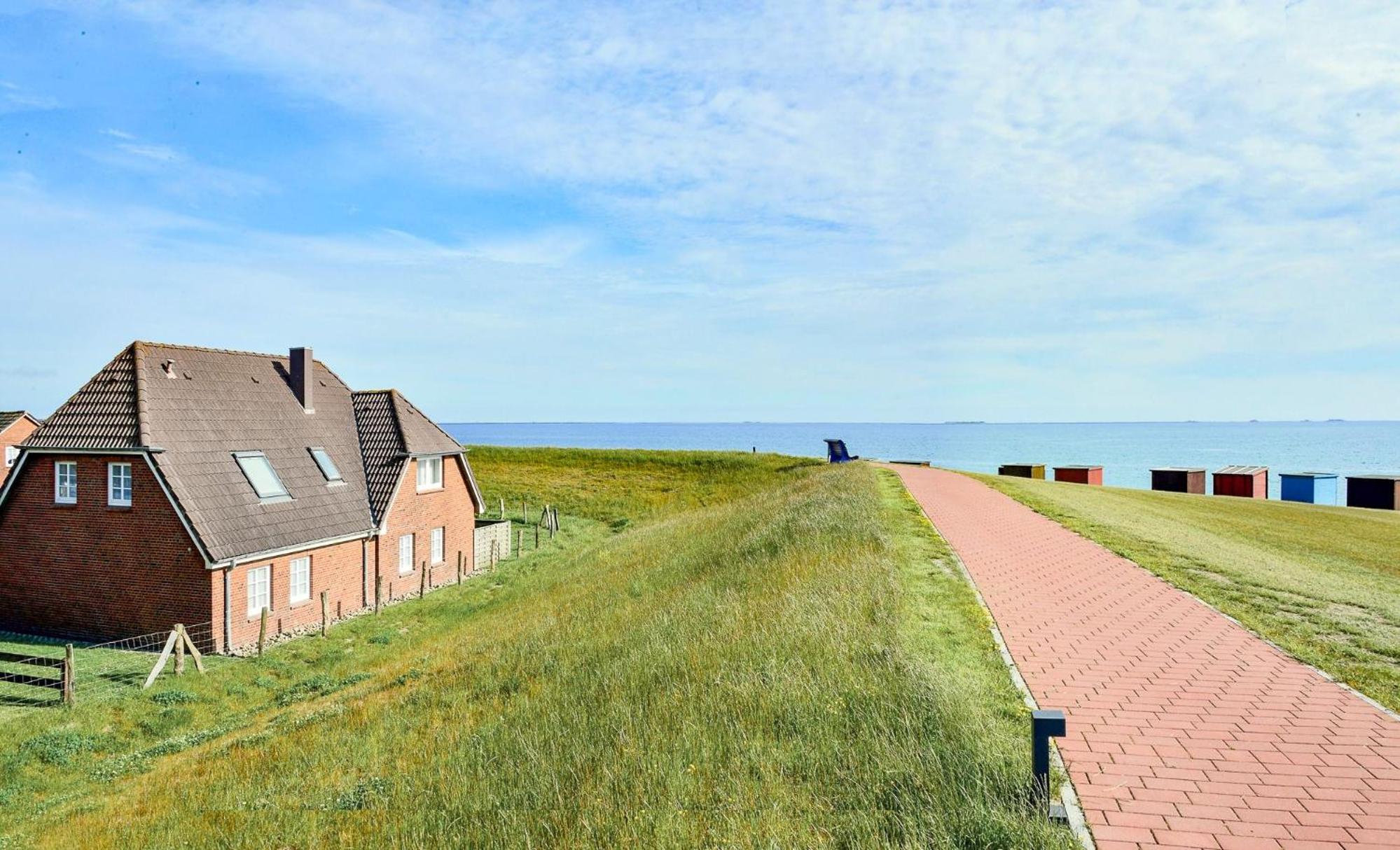 Direkt am Deich - Ferienwohnung Amrum im Gästehaus Am Badedeich