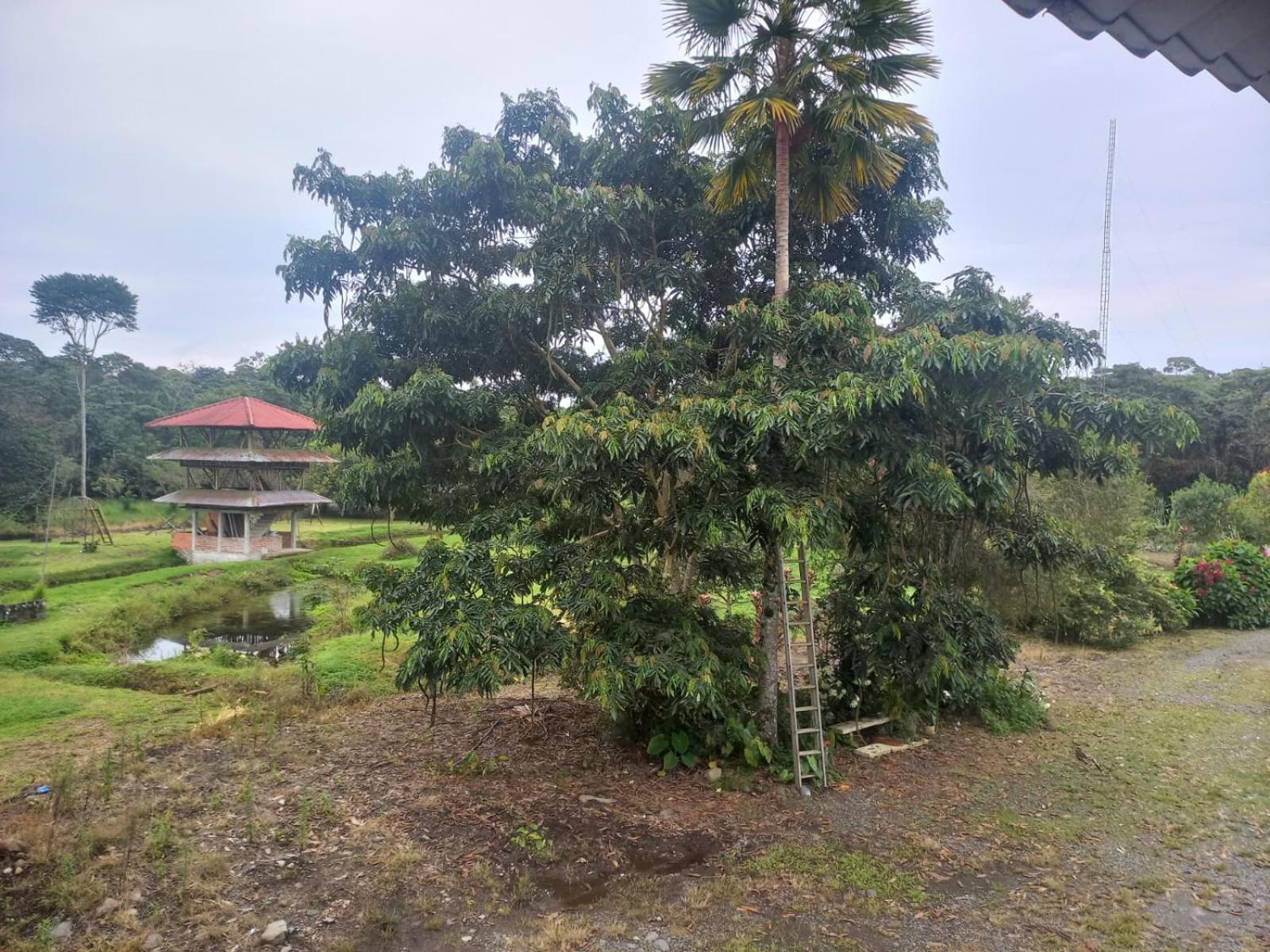Finca La Esperanza